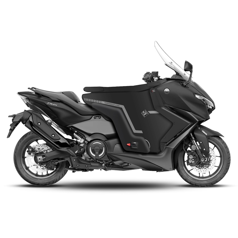 ermoscud r2