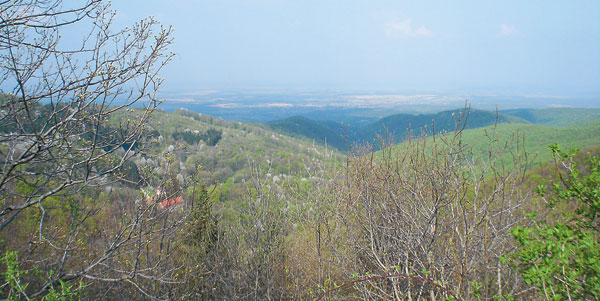 099VI_Papuk